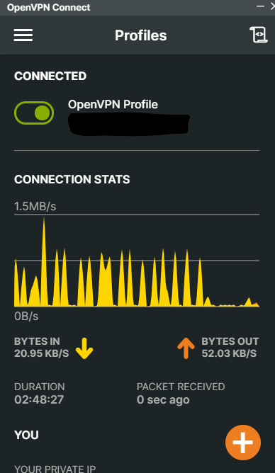 OpenVPN